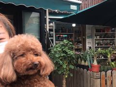 -爱侣宠医·鹦鹉专科·小型哺乳类·异宠专科(灵石路店)