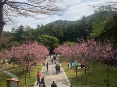 -广州市帽峰山景区