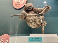 -国家自然博物馆