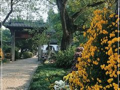 -汇龙潭