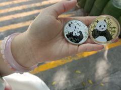 -深圳野生动物园