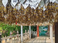 -西双版纳勐泐文化旅游区