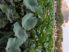 -哈尔滨师范大学(江南校区)
