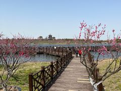 -上海海湾国家森林公园