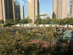 -济南市行知小学