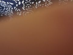 -八两八金·莱芜特色炒鸡(市南漳浦路店)