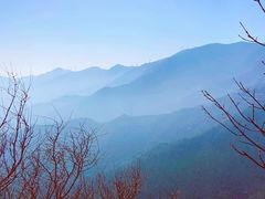 -北京鹫峰国家森林公园