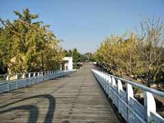 -大兴滨河森林公园