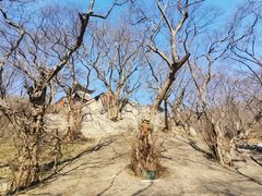 -皇藏峪国家森林公园