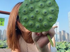 -梅溪湖城市岛