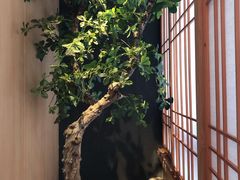 -文三酒肆自助放题(新街口友谊广场店)