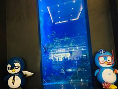 -成都浩海立方海洋公园