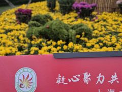 -上海大学(宝山校区)