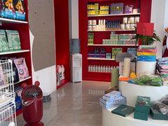 -南京宠物基地·宠物狗宠物猫售卖(南京店)