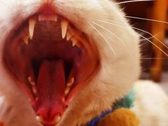-唐猛猛湘乐汇(银泰城店)