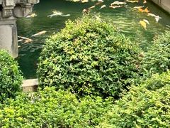 -寒山寺