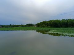 -大兴滨河森林公园