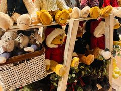 -济州岛泰迪熊博物馆