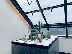 -大树餐厅(红旗街万达店)