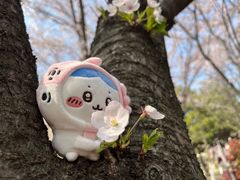 -江南大学(蠡湖校区)