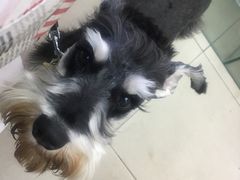 -必胜客(唐延店)