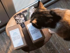 -VOYAGE COFFEE(杨梅竹店)