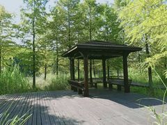 -梁鸿国家湿地公园