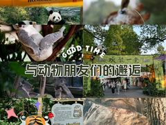 -红山森林动物园