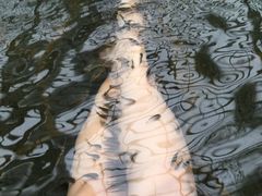 -龙达温泉生态城