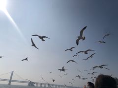 -星海广场