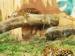 -乐和乐都主题乐园