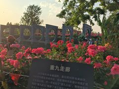 -庾园