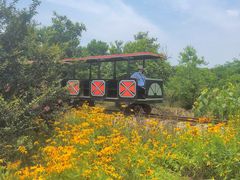 -武汉紫薇都市田园