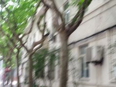 -上海市黄浦区卢湾第一中心小学