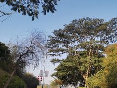 -水濂山森林公园