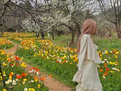 -名花谷生态庄园