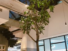 -大树餐厅(红旗街万达店)