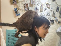 -Let's go狗咖·猫咖·奶狗·桌游(春熙路IFS店)