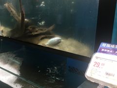 -盒马鲜生(曜一城店)
