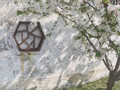 -团结湖公园
