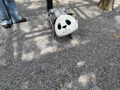 -宁波野生动物园