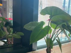 -點無缺茶楼·海鲜酒家(世博店)
