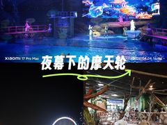 -海合安武汉极地海洋公园