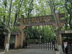 -灵谷景区