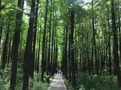 -同里国家湿地公园