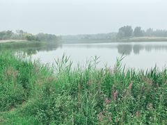 -东郊湿地公园