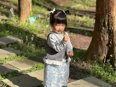 -山王坪喀斯特国家生态公园