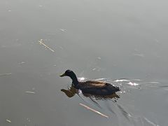-前关湿地公园