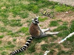 -无锡动物园·太湖欢乐园