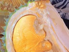-榴莲BB 四季果园